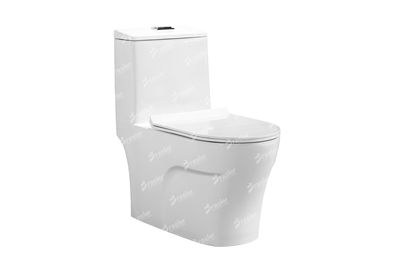 Bàn cầu một khối F304